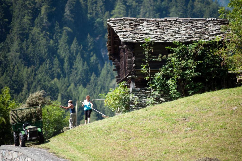 Albergo Castello Da Bonino Champorcher Bilik gambar